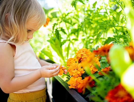 Tutki pihaa lähietäisyydeltä