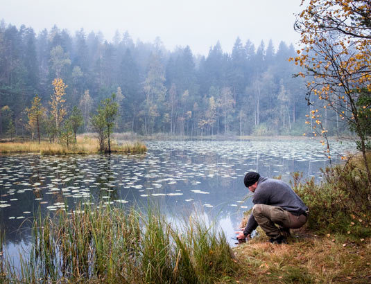 Patikoi kansallispuistossa