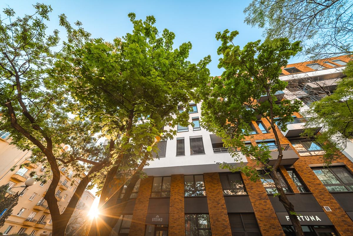 Clean transition creates growth for Europe