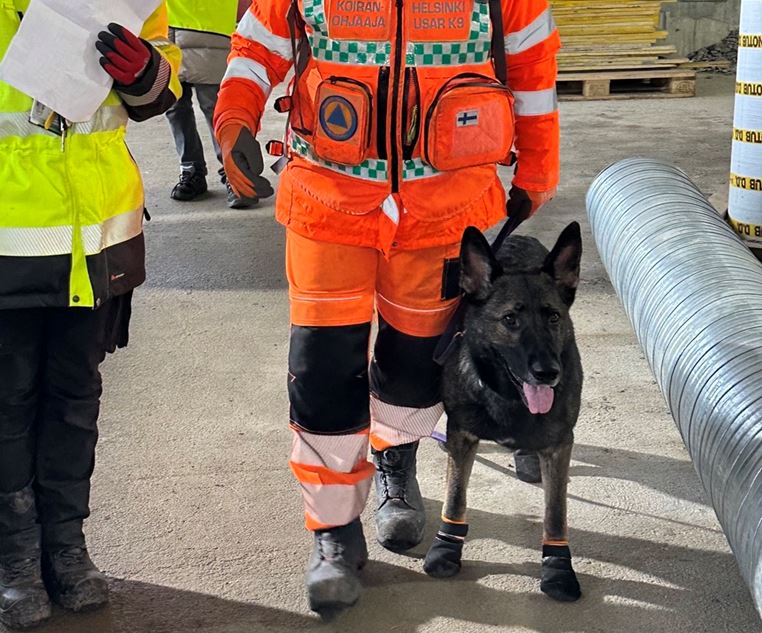 Rauniokoirat harjoittelivat YIT:n työmaalla – varautuminen tuo turvaa kriisitilanteissa