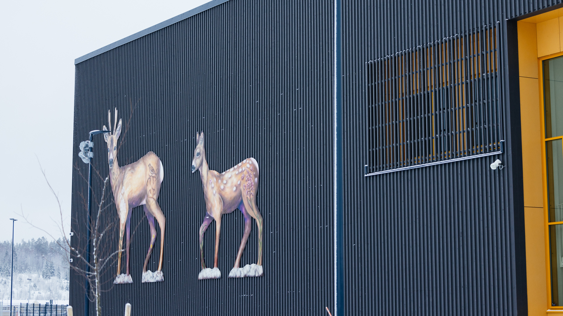 YIT:n toteuttaman Etelä-Nummelan koulukeskuksen palvelujakso on alkanut – avajaisia vietettiin käyttäjien kanssa