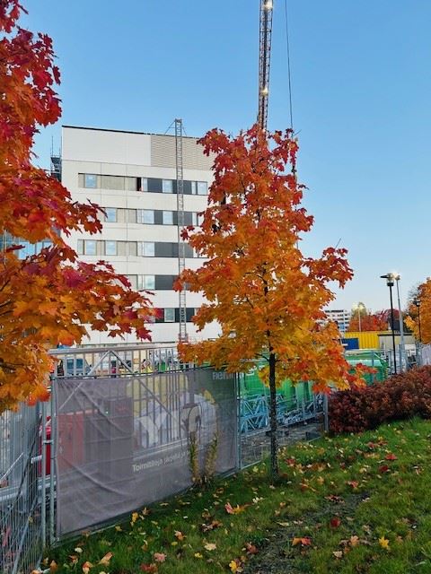 Työmaan viikkotiedote vko 41