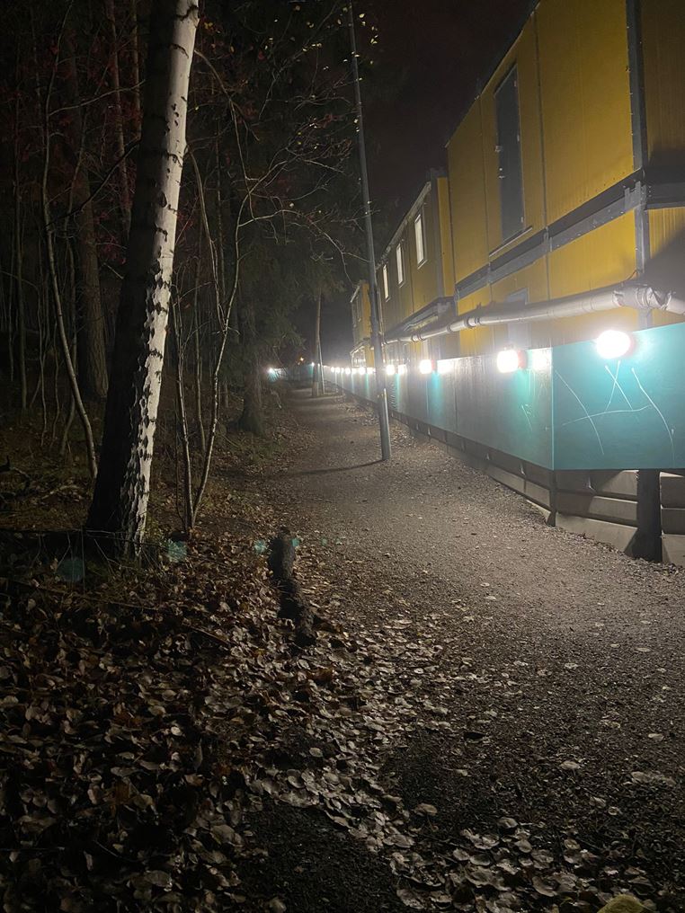 Tammisairaalan yleistiedote