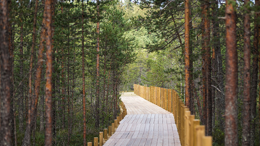 Kivistön vieressä sijaitsee Keimolan Isosuo