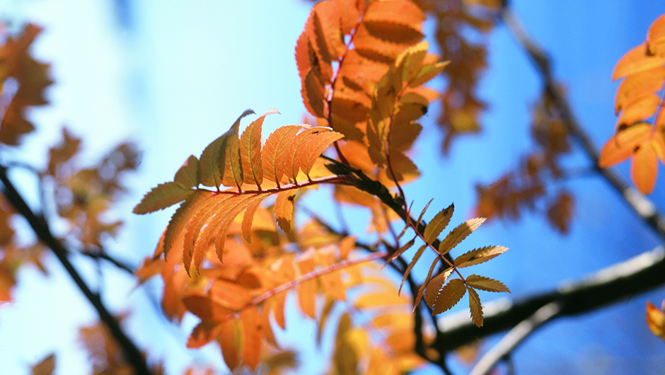 Pitkät rakennusprojektit edellyttävät tiivistä vuoropuhelua toimijoiden kesken