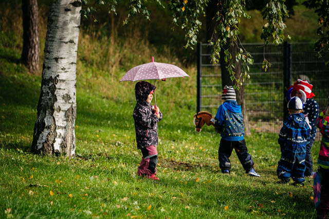 Are you aware of the positive effect that nature has on your well-being? Five tips for getting energised by local nature