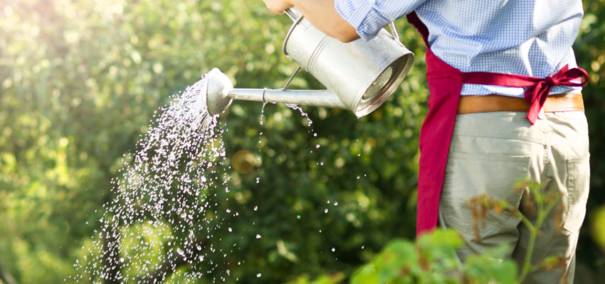 Luonto on kosketusetäisyydellä