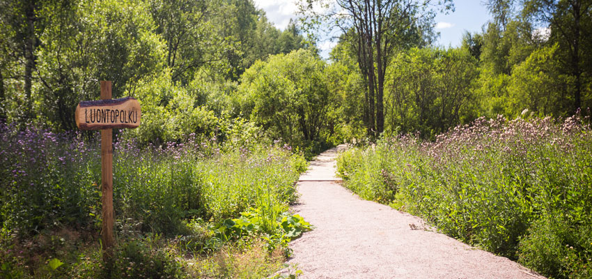Nupurissa voi harrastaa
