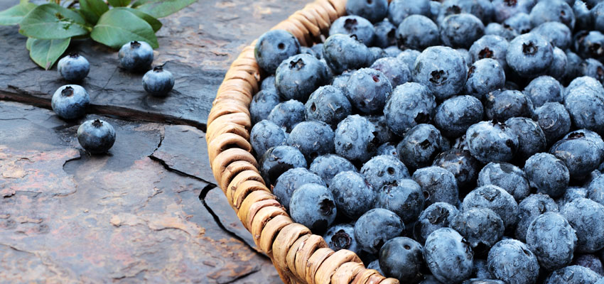 Luonnonrauhaa Nupurissa