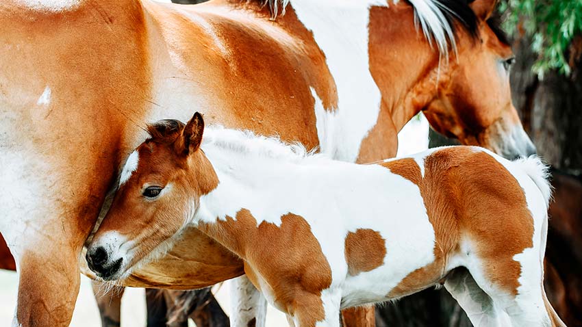 Hakunilassa on hyvät liikuntamahdollisuudet