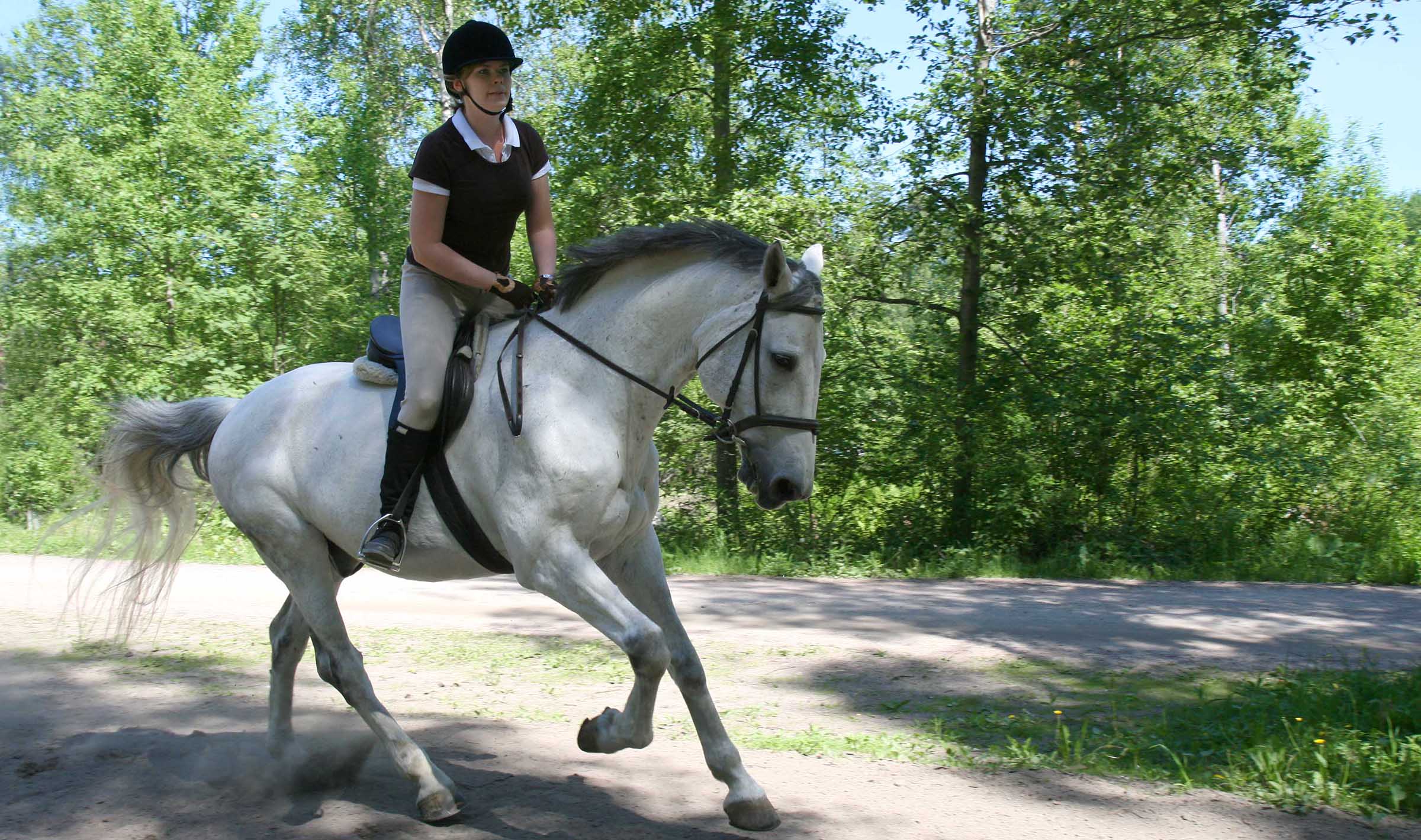 Ulkoilua luonnonhelmassa