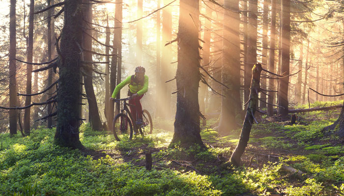 Loma-asunnot yrityksille