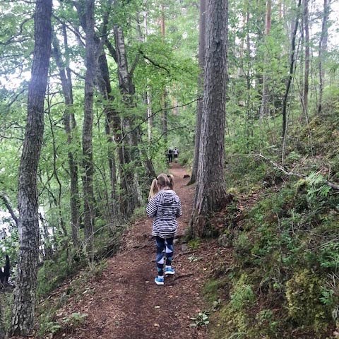 Lue aitoja kokemuksia asiakkailtamme!