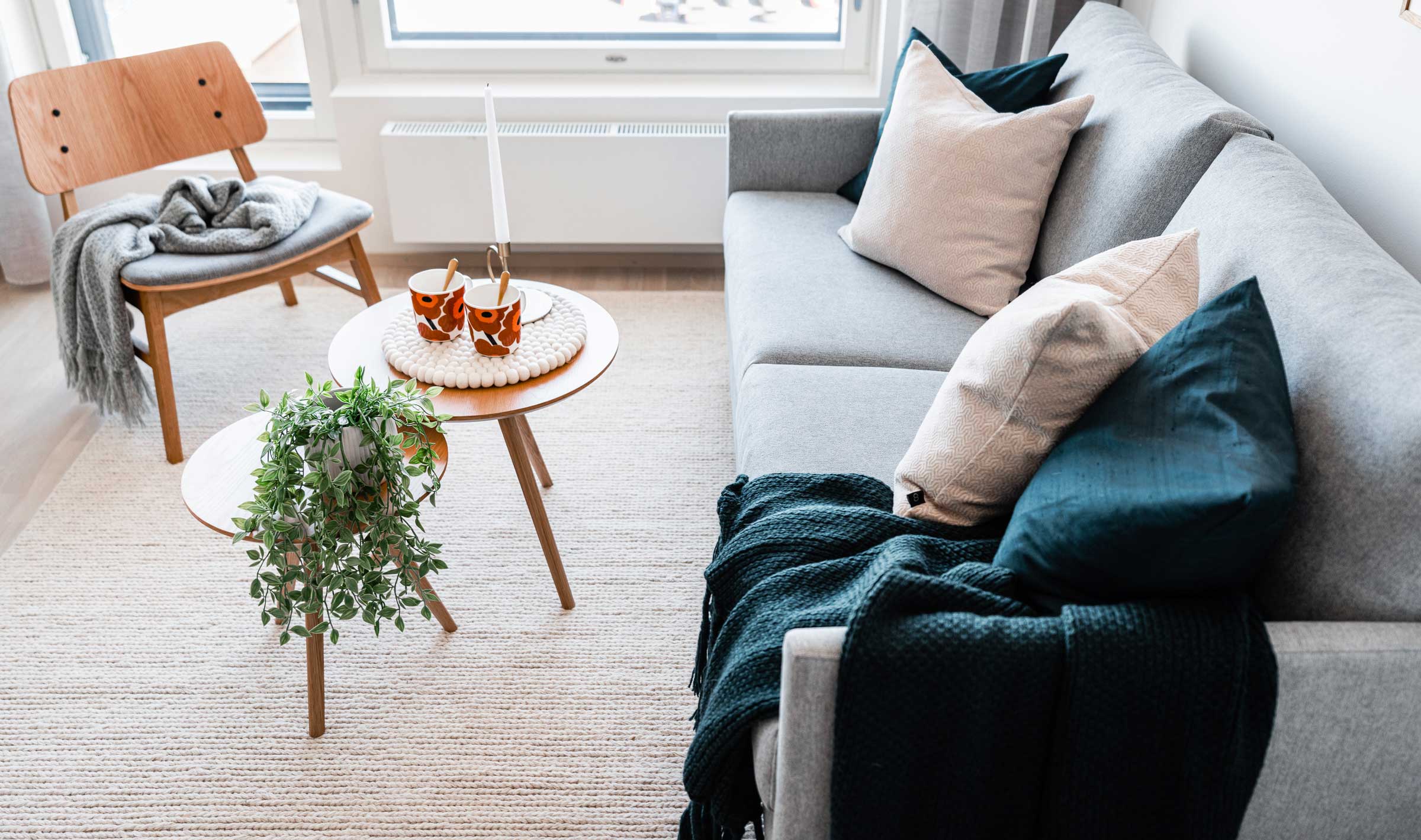 Ammattilaisen kalustama koti