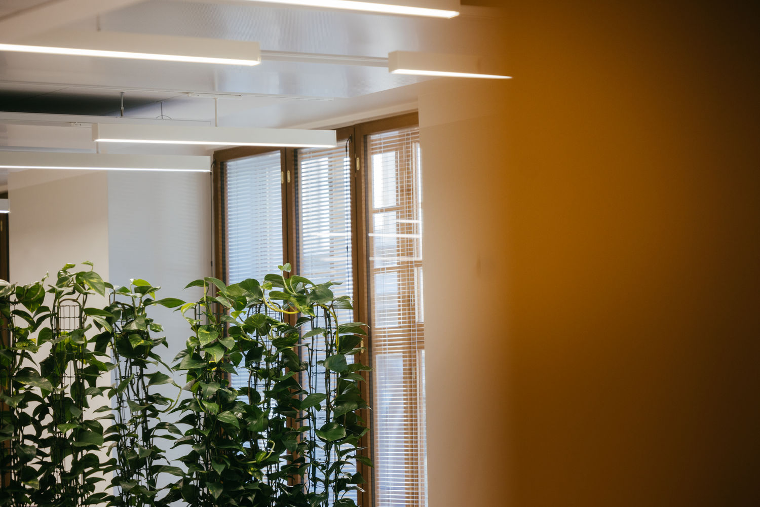 Energy-efficient business premises are a climate-smart choice