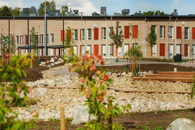 Biodiversiteettipiha tukee toiminnallista oppimista ja kestävää elintapaa: Wigge on edelläkävijä Suomessa