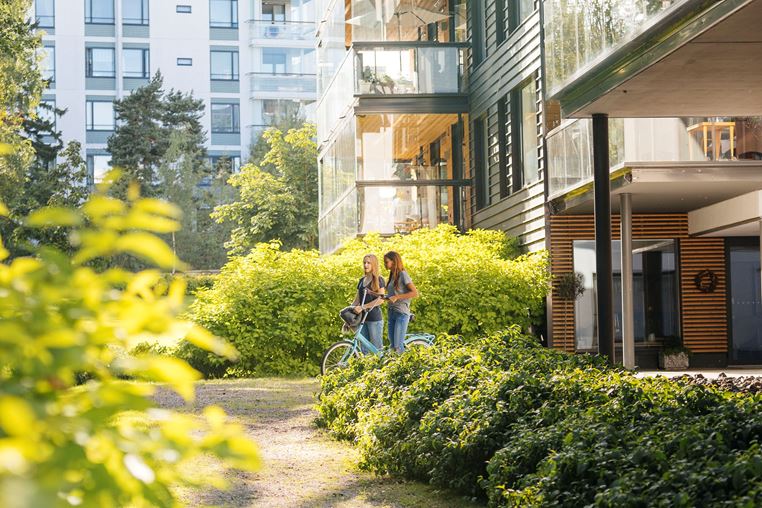 Kaatamatta jätetyt puut, hulevesikosteikot ja opetusmetsät – näin tuemme luonnon monimuotoisuutta hankkeillamme