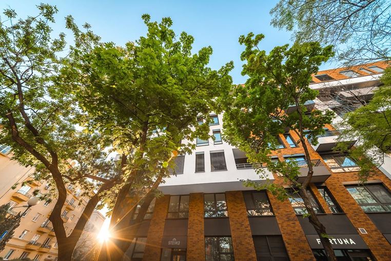 Clean transition creates growth for Europe